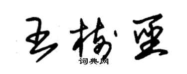 朱錫榮王樹聖草書個性簽名怎么寫