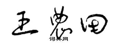 曾慶福王農田草書個性簽名怎么寫