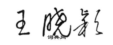 駱恆光王曉穎草書個性簽名怎么寫