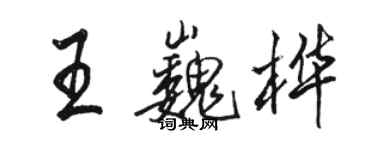 駱恆光王巍樺行書個性簽名怎么寫