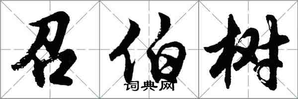 胡問遂召伯樹行書怎么寫