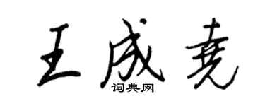 王正良王成堯行書個性簽名怎么寫