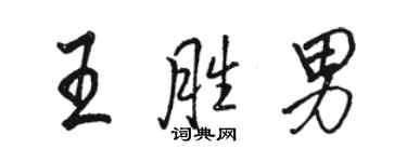 駱恆光王勝男行書個性簽名怎么寫