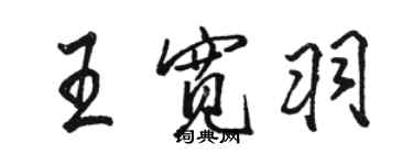 駱恆光王寬羽行書個性簽名怎么寫