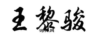 胡問遂王黎駿行書個性簽名怎么寫