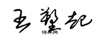 朱錫榮王塑起草書個性簽名怎么寫