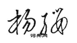 駱恆光楊纓草書個性簽名怎么寫