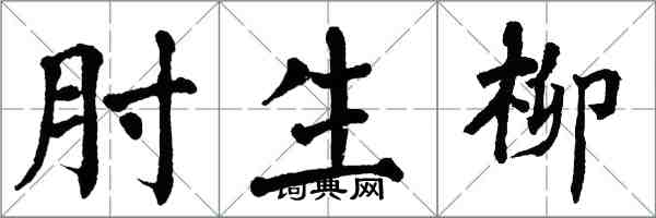 翁闓運肘生柳楷書怎么寫