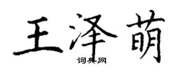 丁謙王澤萌楷書個性簽名怎么寫