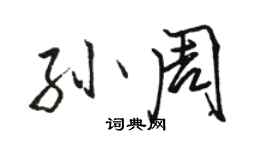 駱恆光孫周行書個性簽名怎么寫