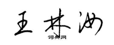 梁錦英王林汝草書個性簽名怎么寫