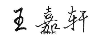 駱恆光王嘉軒行書個性簽名怎么寫