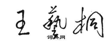 駱恆光王藝桐草書個性簽名怎么寫