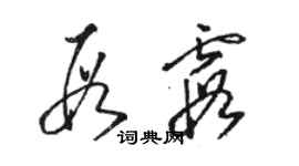 駱恆光段霞草書個性簽名怎么寫