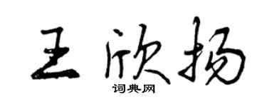曾慶福王欣揚行書個性簽名怎么寫