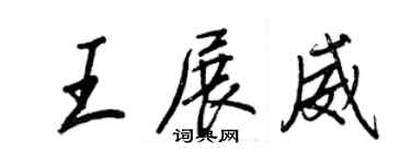 王正良王展威行書個性簽名怎么寫