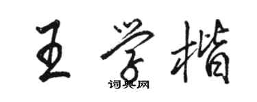 駱恆光王學楷行書個性簽名怎么寫
