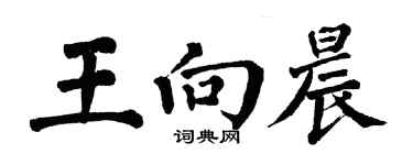 翁闓運王向晨楷書個性簽名怎么寫