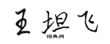 駱恆光王坦飛行書個性簽名怎么寫