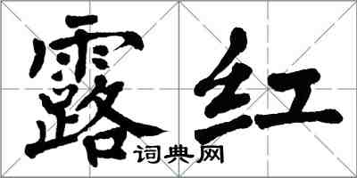 翁闓運露紅楷書怎么寫