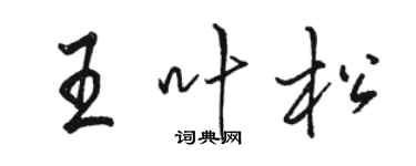 駱恆光王葉松行書個性簽名怎么寫
