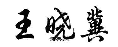 胡問遂王曉冀行書個性簽名怎么寫