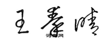 駱恆光王秦晴草書個性簽名怎么寫