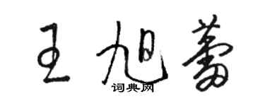 駱恆光王旭蕾草書個性簽名怎么寫