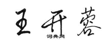 駱恆光王開蓉行書個性簽名怎么寫