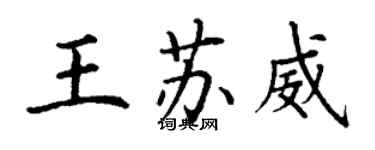 丁謙王蘇威楷書個性簽名怎么寫