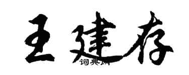 胡問遂王建存行書個性簽名怎么寫