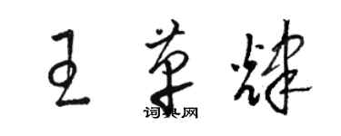 駱恆光王革輝草書個性簽名怎么寫