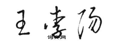 駱恆光王李陽草書個性簽名怎么寫