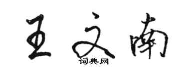 駱恆光王文南行書個性簽名怎么寫