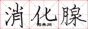 駱恆光消化腺楷書怎么寫