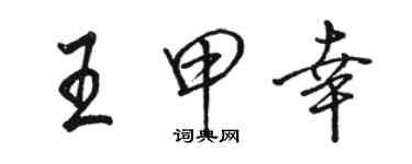 駱恆光王甲幸行書個性簽名怎么寫