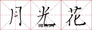 黃華生月光花楷書怎么寫