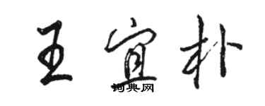 駱恆光王宜朴行書個性簽名怎么寫