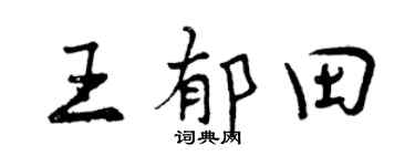 曾慶福王郁田行書個性簽名怎么寫