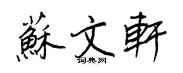 王正良蘇文軒行書個性簽名怎么寫