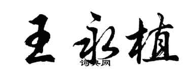 胡問遂王永植行書個性簽名怎么寫