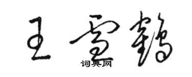 駱恆光王雪鶴草書個性簽名怎么寫