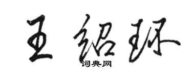 駱恆光王紹環行書個性簽名怎么寫