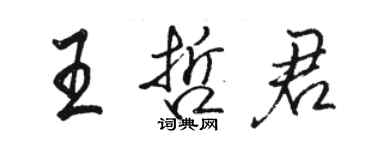 駱恆光王哲君行書個性簽名怎么寫