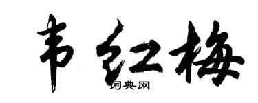 胡問遂韋紅梅行書個性簽名怎么寫
