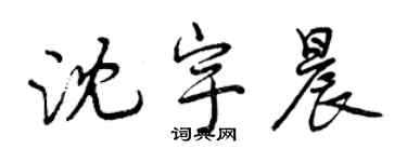 曾慶福沈宇晨行書個性簽名怎么寫