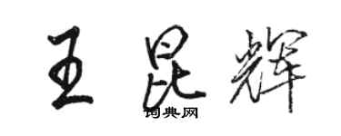 駱恆光王昆輝行書個性簽名怎么寫