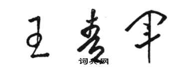 駱恆光王青軍草書個性簽名怎么寫