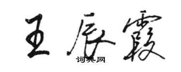 駱恆光王辰霞行書個性簽名怎么寫