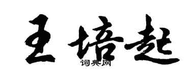 胡問遂王培起行書個性簽名怎么寫